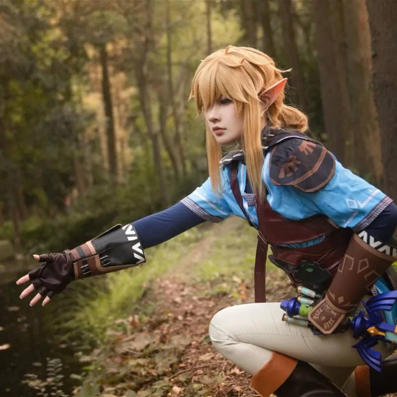 Game Zelda Breath of The Wild  - Zelda Party Games 리뷰 및 가격