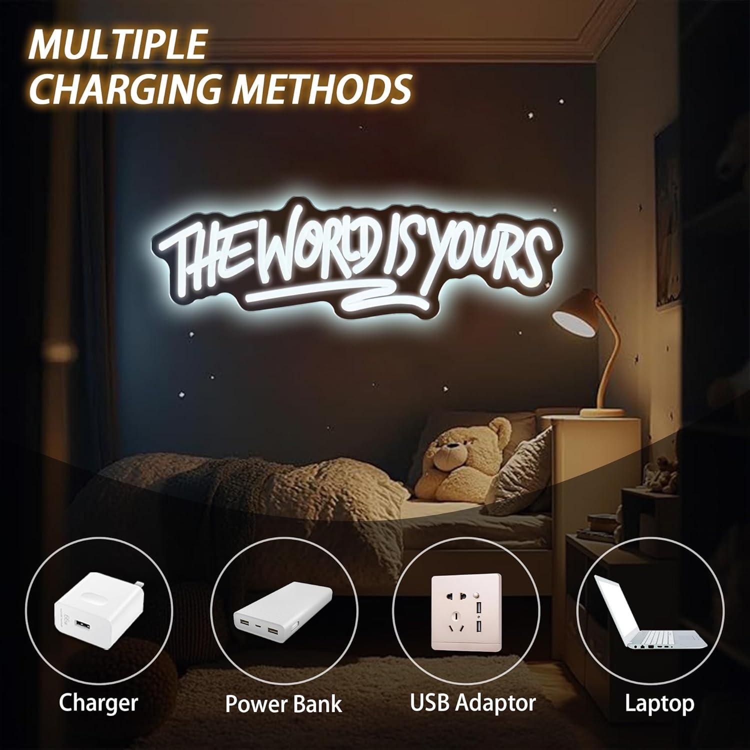 The World is Yours Neon Sign U - Party Games Birthday 리뷰 및 가격